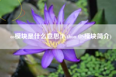 os模块是什么意思(Python OS模块简介)