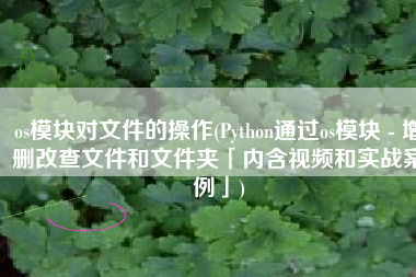 os模块对文件的操作(Python通过os模块 - 增删改查文件和文件夹「内含视频和实战案例」)