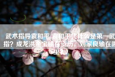 武术指导袁和平(袁和平凭什么是第一武指？成龙洪金宝输在资历，刘家良输在哪里？)