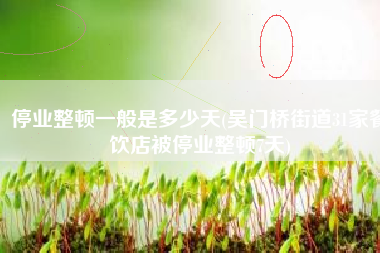 停业整顿一般是多少天(吴门桥街道31家餐饮店被停业整顿7天)