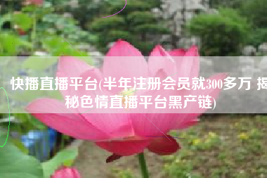 快播直播平台(半年注册会员就300多万 揭秘色情直播平台黑产链)
