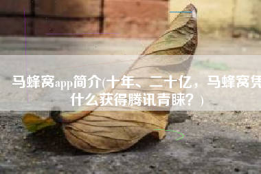 马蜂窝app简介(十年、二十亿，马蜂窝凭什么获得腾讯青睐？)