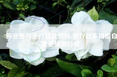 停业整顿是行政处罚吗(旅行社不得擅自变更旅游行程)