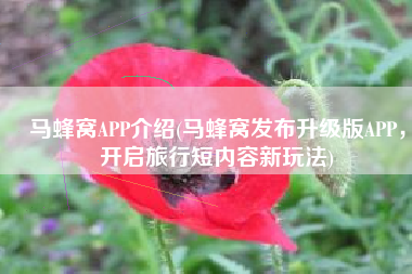 马蜂窝APP介绍(马蜂窝发布升级版APP，开启旅行短内容新玩法)