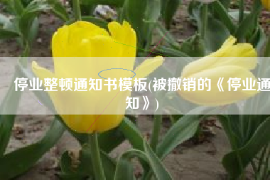 停业整顿通知书模板(被撤销的《停业通知》)