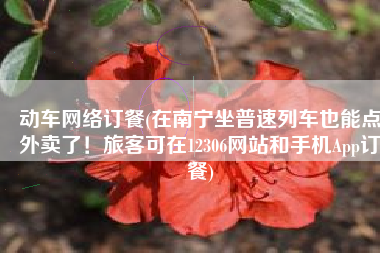 动车网络订餐(在南宁坐普速列车也能点外卖了！旅客可在12306网站和手机App订餐)