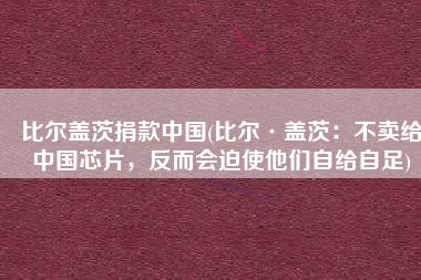比尔盖茨捐款中国(比尔·盖茨：不卖给中国芯片，反而会迫使他们自给自足)