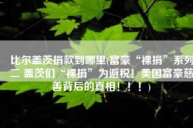 比尔盖茨捐款到哪里(富豪“裸捐”系列二 盖茨们“裸捐”为避税！美国富豪慈善背后的真相！！！)