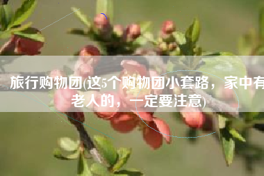 旅行购物团(这5个购物团小套路，家中有老人的，一定要注意)