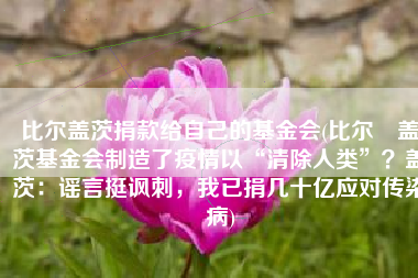 比尔盖茨捐款给自己的基金会(比尔•盖茨基金会制造了疫情以“清除人类”？盖茨：谣言挺讽刺，我已捐几十亿应对传染病)