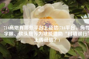 714高炮有哪些平台上征信(714平台、侮辱字眼、砍头息等为啥能借助“村镇银行”上传征信？)
