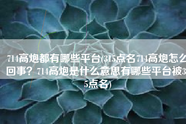 714高炮都有哪些平台(315点名714高炮怎么回事？714高炮是什么意思有哪些平台被315点名)
