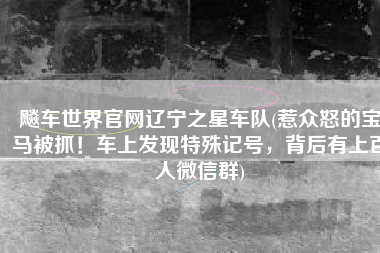飚车世界官网辽宁之星车队(惹众怒的宝马被抓！车上发现特殊记号，背后有上百人微信群)