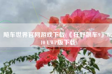 飚车世界官网游戏下载(《狂野飙车9》Win10 UWP版下载)