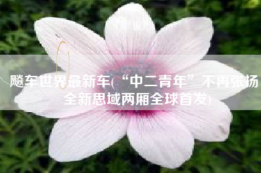 飚车世界最新车(“中二青年”不再张扬，全新思域两厢全球首发)