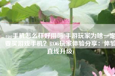 rog手机怎么样好用吗(手游玩家为啥一定要买游戏手机？ROG玩家体验分享：体验直线升级)