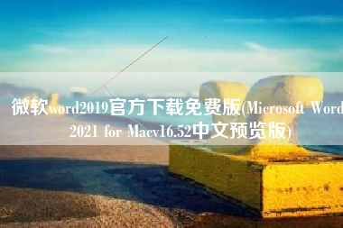 微软word2019官方下载免费版(Microsoft Word 2021 for Macv16.52中文预览版)