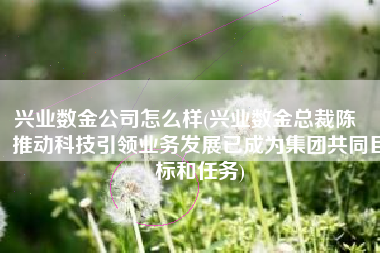 兴业数金公司怎么样(兴业数金总裁陈翀：推动科技引领业务发展已成为集团共同目标和任务)