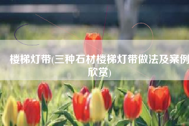 楼梯灯带(三种石材楼梯灯带做法及案例欣赏)