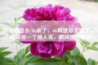 移动网络卡(5G来了，4G网速却变慢了，只需添加一个接入点，瞬间提升网速)