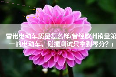 雷诺电动车质量怎么样(曾经欧洲销量第一的电动车，碰撞测试只拿到零分？)