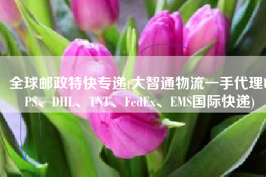 全球邮政特快专递(大智通物流一手代理UPS、DHL、TNT、FedEx、EMS国际快递)