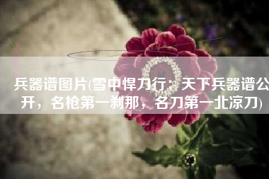 兵器谱图片(雪中悍刀行：天下兵器谱公开，名枪第一刹那，名刀第一北凉刀)