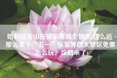 哈利路亚山在张家界哪个景点(这么近·那么美丨“五一”张家界四大景区免票，怎么玩？攻略来了)