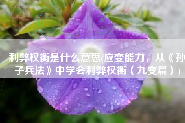 利弊权衡是什么意思(应变能力，从《孙子兵法》中学会利弊权衡（九变篇）)