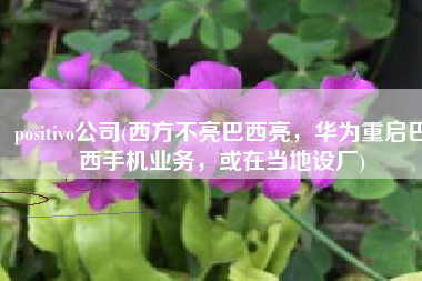 positivo公司(西方不亮巴西亮，华为重启巴西手机业务，或在当地设厂)