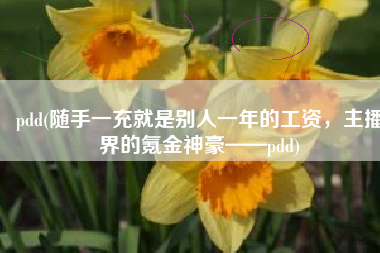 pdd(随手一充就是别人一年的工资，主播界的氪金神豪——pdd)