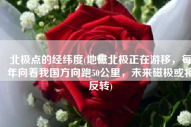 北极点的经纬度(地磁北极正在游移，每年向着我国方向跑50公里，未来磁极或将反转)