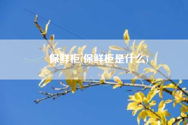 保鲜柜(保鲜柜是什么)