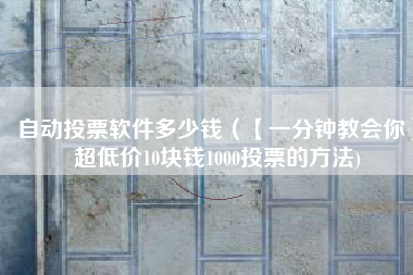 自动投票软件多少钱（【一分钟教会你】超低价10块钱1000投票的方法)