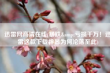 迅雷网高清在线(暴跌&亏损千万！迅雷这款下载神器为何沦落至此)