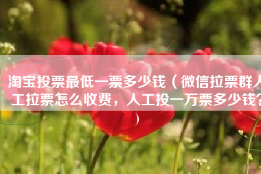 淘宝投票最低一票多少钱（微信拉票群人工拉票怎么收费，人工投一万票多少钱？)