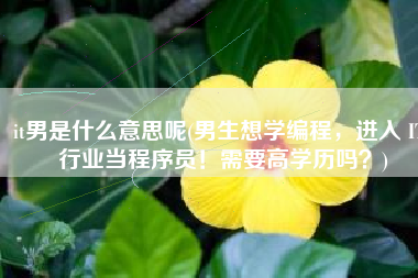 it男是什么意思呢(男生想学编程，进入 IT 行业当程序员！需要高学历吗？)
