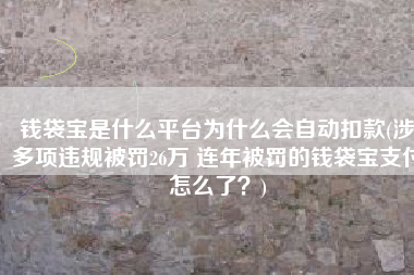 钱袋宝是什么平台为什么会自动扣款(涉多项违规被罚26万 连年被罚的钱袋宝支付怎么了？)