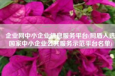 企业网中小企业信息服务平台(同盾入选国家中小企业公共服务示范平台名单)