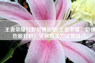 王者荣耀打野貂蝉出装(王者荣耀：貂蝉也能打野！牙膏用实力证明自己)