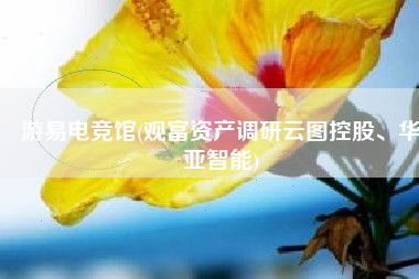 游易电竞馆(观富资产调研云图控股、华亚智能)