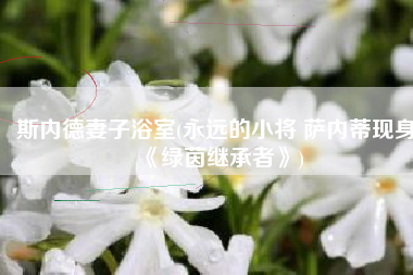 斯内德妻子浴室(永远的小将 萨内蒂现身《绿茵继承者》)