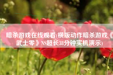 暗杀游戏在线观看(横版动作暗杀游戏《武士零》NS超长38分钟实机演示)