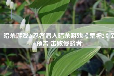 暗杀游戏2(忍者潜入暗杀游戏《荒神2》新预告 击败侵略者)