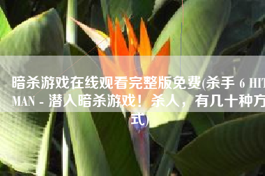 暗杀游戏在线观看完整版免费(杀手 6 HITMAN - 潜入暗杀游戏！杀人，有几十种方式)