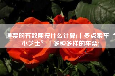 通票的有效期按什么计算(「多点乘车“小芝士”」多种多样的车票)