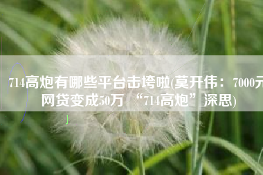714高炮有哪些平台击垮啦(莫开伟：7000元网贷变成50万 “714高炮”深思)