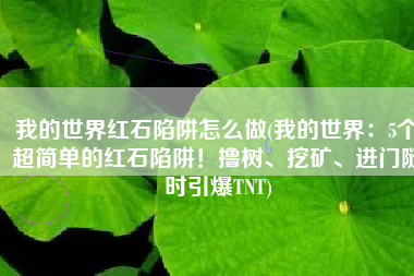 我的世界红石陷阱怎么做(我的世界：5个超简单的红石陷阱！撸树、挖矿、进门随时引爆TNT)