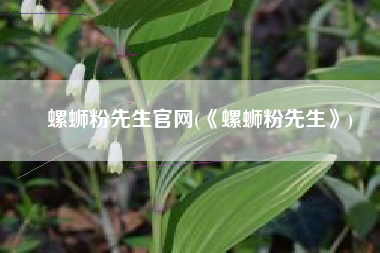 螺蛳粉先生官网(《螺蛳粉先生》)