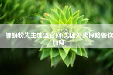 螺蛳粉先生加盟官网(美团外卖探路餐饮加盟)